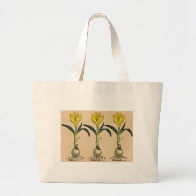 Amaryllis Tulpan Botanisk Trädgård Blomma Jumbo Tygkasse (Framsidan)