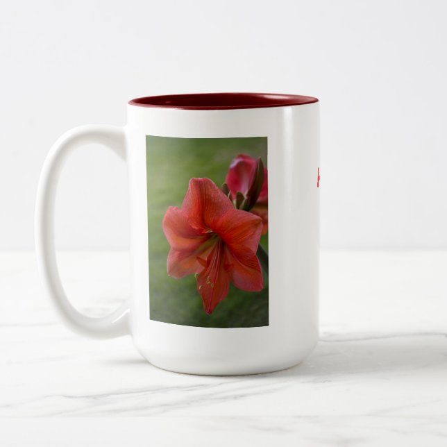 Amaryllis Två-Tonad Mugg (Vänster)