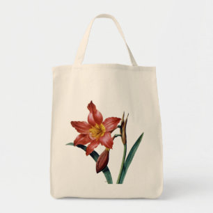 Amaryllis Tygkasse