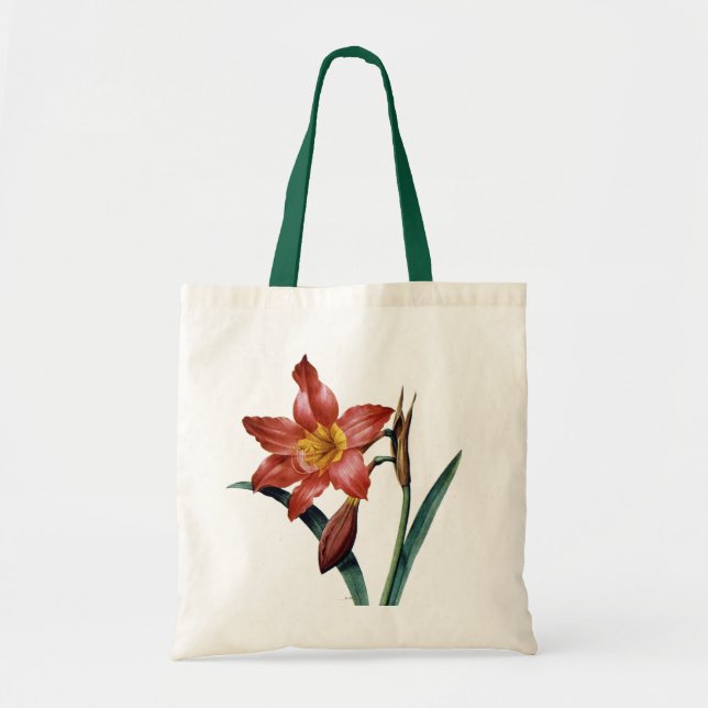 Amaryllis Tygkasse (Framsidan)