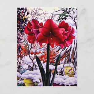 Amaryllis vid snöfönstret vykort