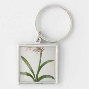 Amaryllis Vittata Fyrkantig Silverfärgad Nyckelring
