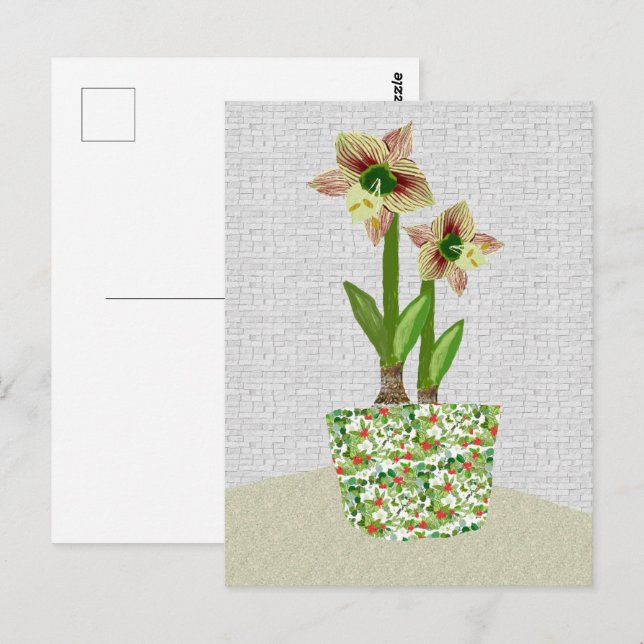 Amaryllis vykort (Fram/baksida)
