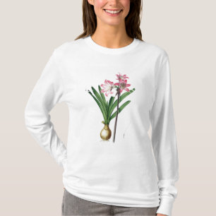 AmaryllisBelladonna, från "Les Liliacees", engrav Tee