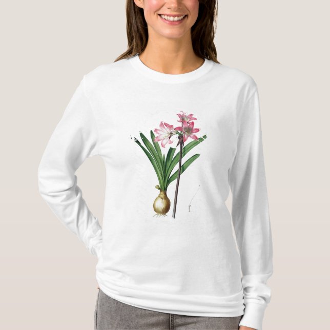 AmaryllisBelladonna, från "Les Liliacees", engrav Tee (Framsida)