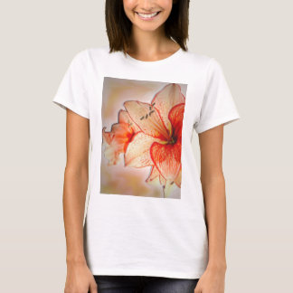 Amaryllistillbedjan Tee