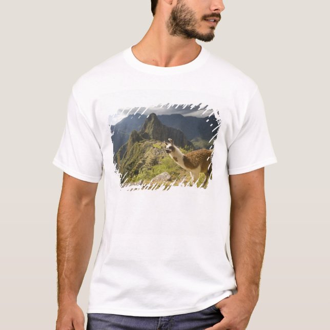 Amas och en överblick över Machu Picchu. T Shirt (Framsida)