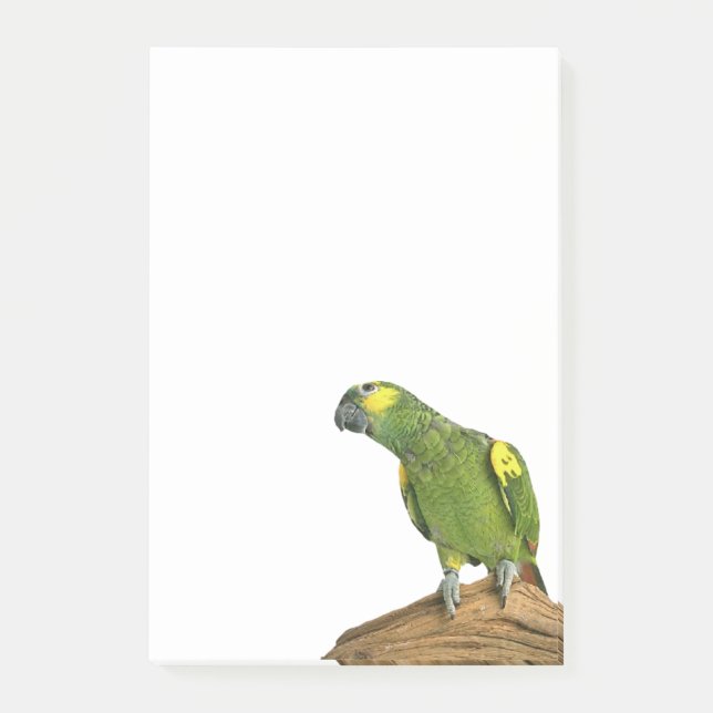 Amasonen Postar-it® noterar 4 x 6 Post-it Block (Framsida)