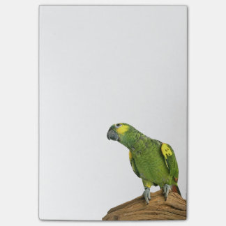 Amasonen Postar-it® noterar 4 x 6 Post-it Block