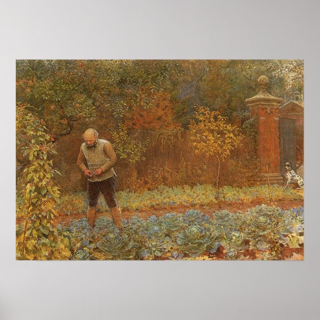 Amateur (Coachman & Cabbages) av Frederick Walker Poster (Framsidan)