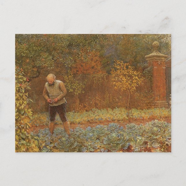 Amateur (Coachman & Cabbages) av Frederick Walker Vykort (Framsida)