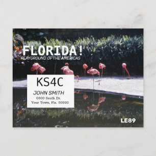 Amateur Ham Radio QSL Card Operators Florida Vykort