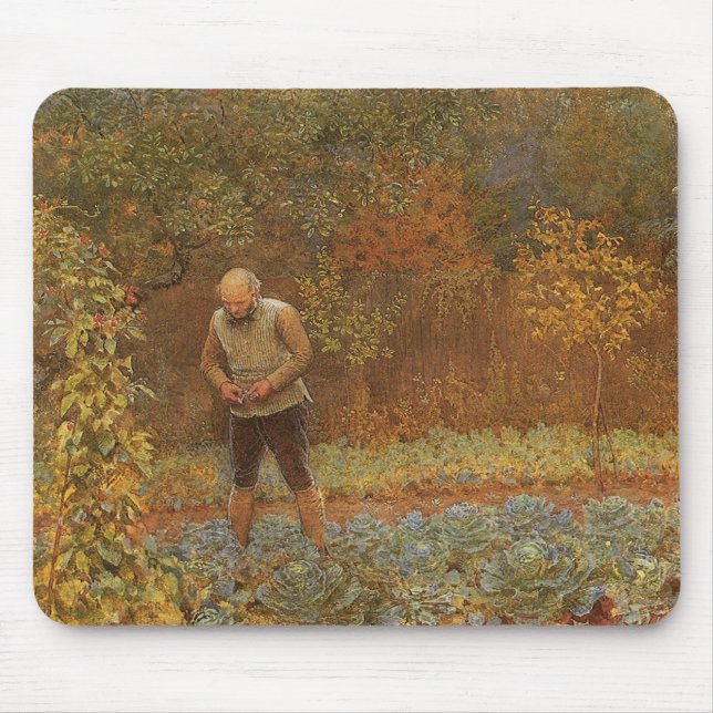 Amatör (Coachman & Cabbages) av Frederick Walker Musmatta (Framsidan)