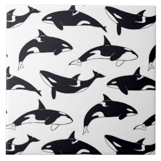 Amazing orca tile kakelplatta