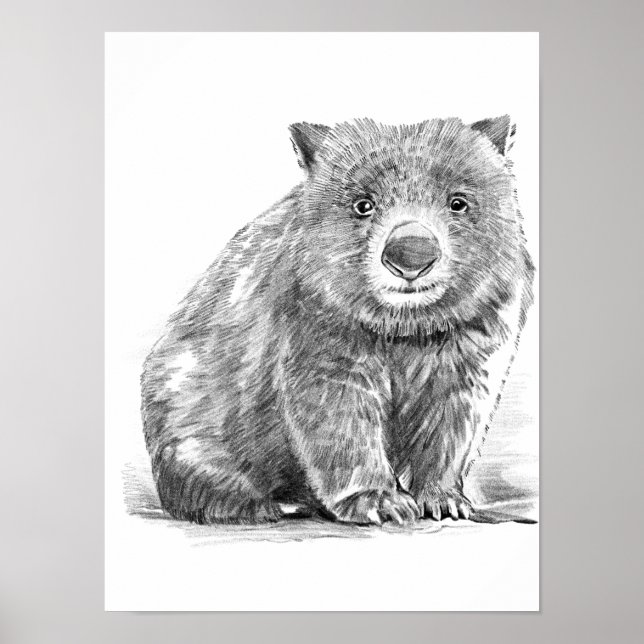 Amazing realistic wombat in pencil drawing style poster (Framsidan)