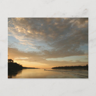 Amazon Humane Society Postcard: Beval Amazon S Vykort