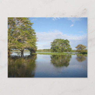 AMAZON RAINFOREST. VYKORT