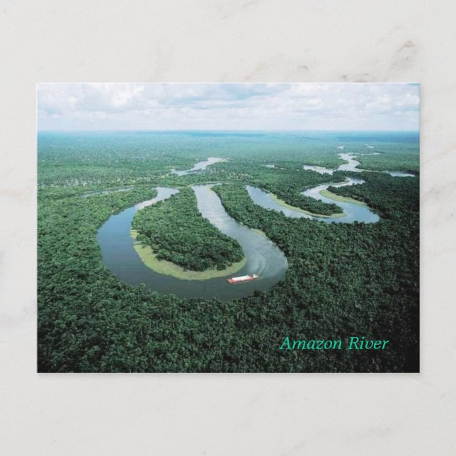 Amazon River Postcard Vykort (Framsida)