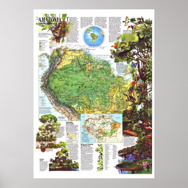 " Amazonas: 1992 A World Resource at Risk KARTA .. Poster (Framsidan)