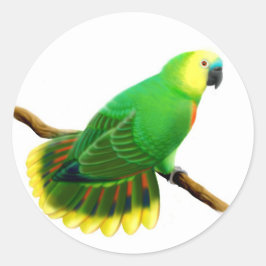 Amazonas Parrot Sticker, blå framsida Runt Klistermärke