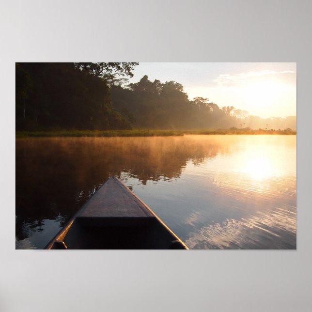 Amazonas regnskogsoluppgång poster (Framsidan)
