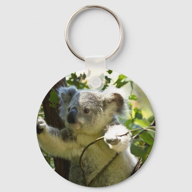 Amazonassöt baby koala i träd nyckelring (Framsida)