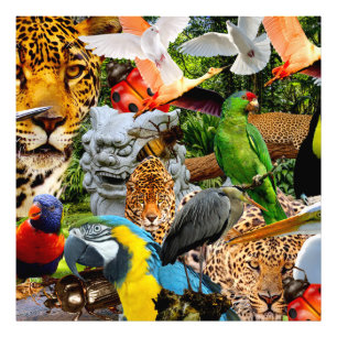 AMAZONIA FOTOTRYCK