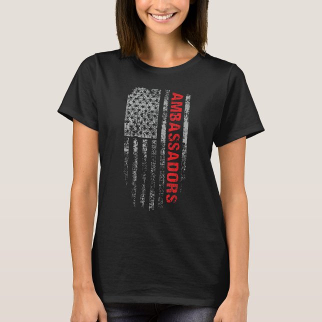 Ambassadors USA Flag Profession Ambassadors Job Ti T Shirt (Framsida)