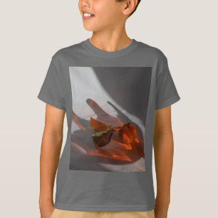 Amber Grått Barn Basic-Kortärmad T Shirt