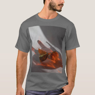 Amber Grått Manar Kortärmad T Shirt
