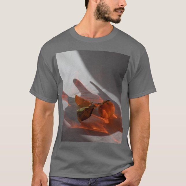 Amber Grått Manar Kortärmad T Shirt (Framsida)