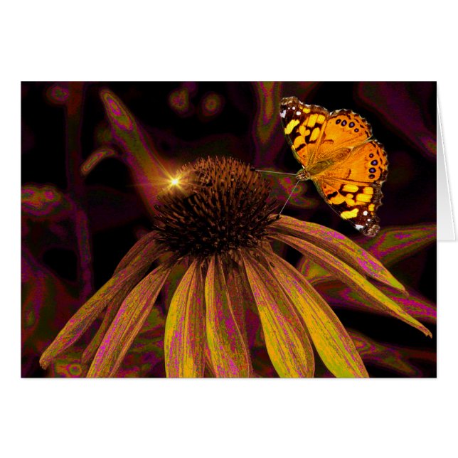 Amber Hälsningskort (Framsidan Horizontal)