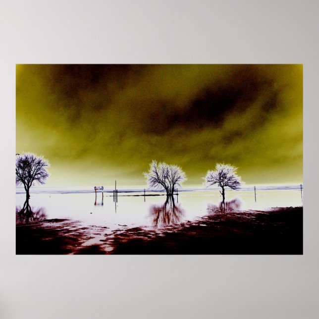 Amber Himlar Poster (Framsidan)