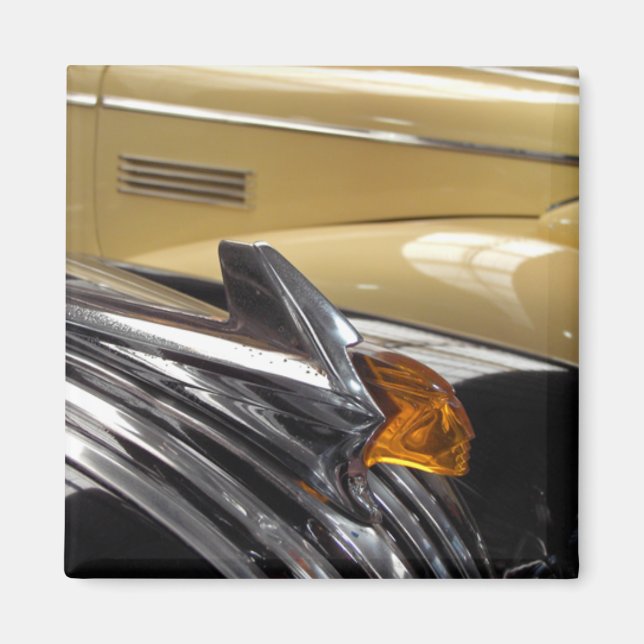 Amber Magnet (Framsidan)