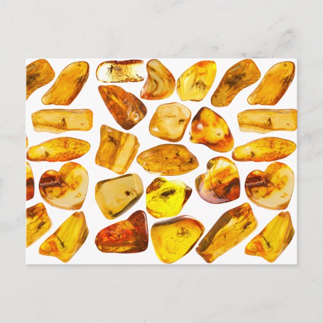 Amber stone-inneslutningar vykort (Framsida)