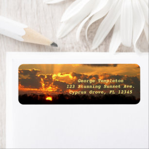 Amber Sunset over Florida Cypress Grove Everglades Returadress Etikett
