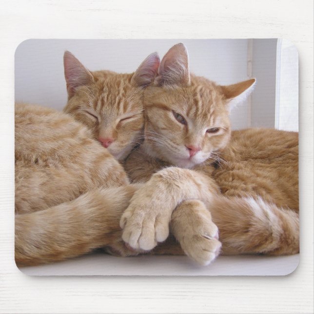 Amber&Topez Musmatta (Framsidan)