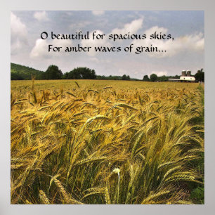 Amber Vågar of Grain Poster