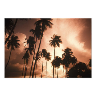 Ambergris Caye, Belize, Centralamerika. 2 Fototryck