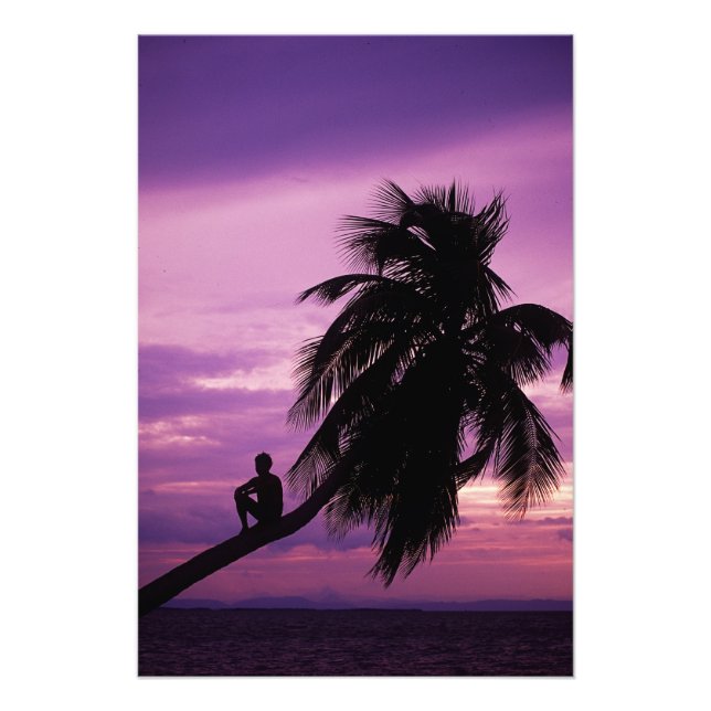 Ambergris Caye, Belize, Centralamerika. Fototryck (Framsidan)