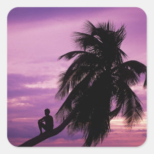 Ambergris Caye, Belize, Centralamerika. Fyrkantigt Klistermärke