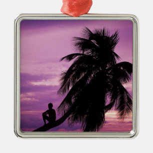 Ambergris Caye, Belize, Centralamerika. Julgransprydnad Metall