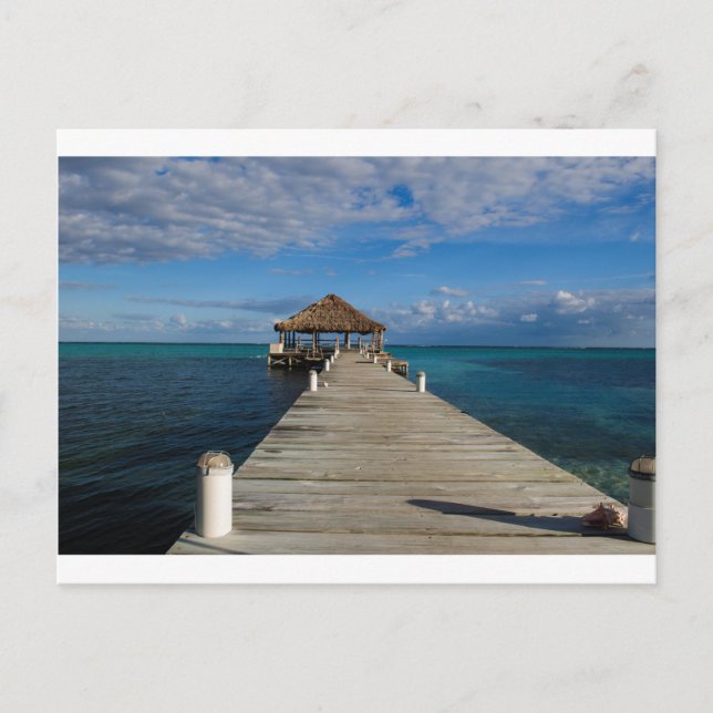 Ambergris Caye Belize Vykort (Framsida)