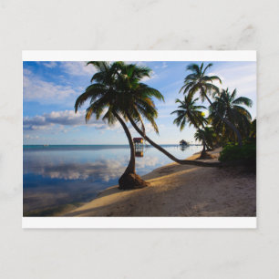 Ambergris Caye Belize Vykort