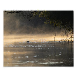 Ambiance lever du jour fototryck