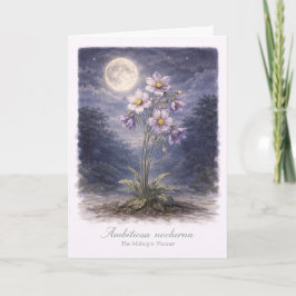 Ambitiosa Nocturna - The Midnight Planner Kort