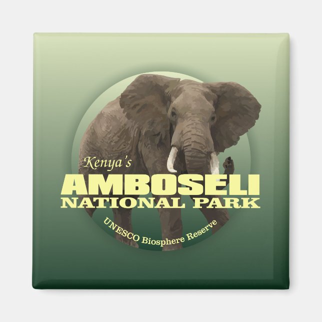 Amboseli NP (African Elephant) WT Magnet (Framsidan)