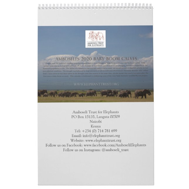 Amboseli Trust for Elephants baby boom Kalender (Omslag)