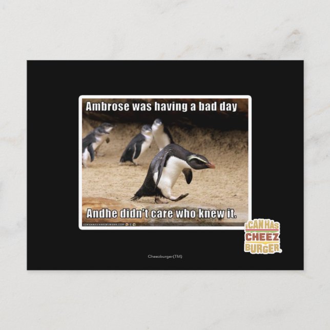 Ambrose hade en dålig dag vykort (Framsida)