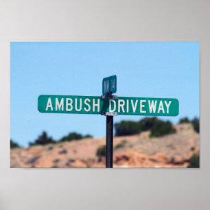 Ambush Driveway i New mexico Poster